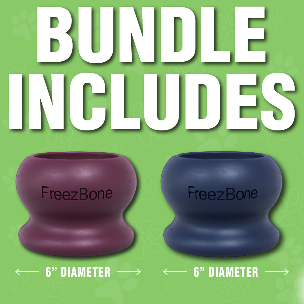 The Starter Bundle Pack