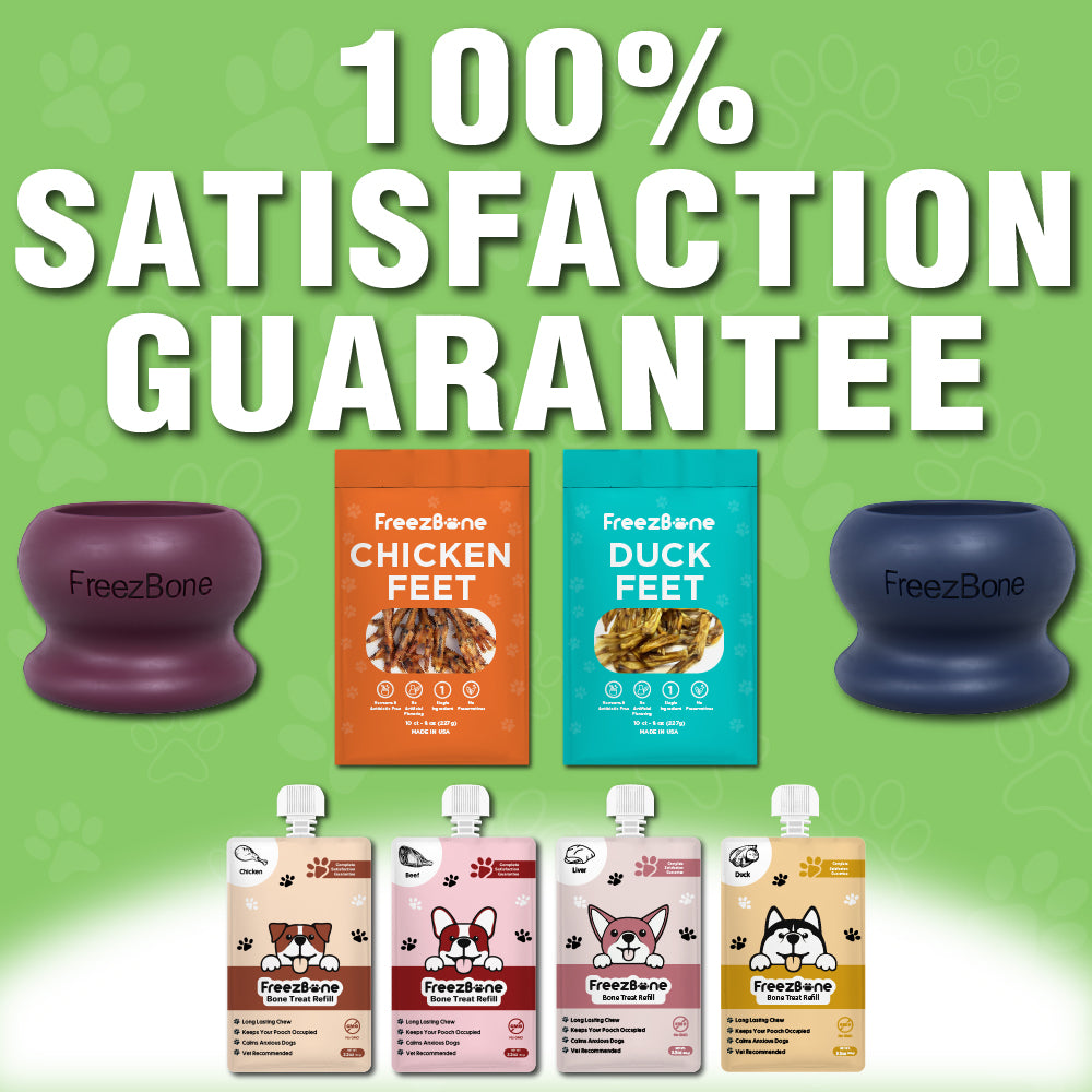 The Starter Bundle Pack