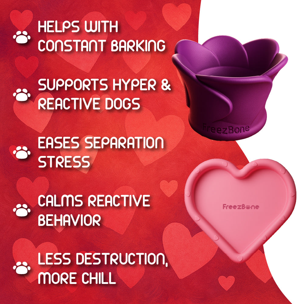Valentines Sweetheart Pup Bundle – Limited Edition