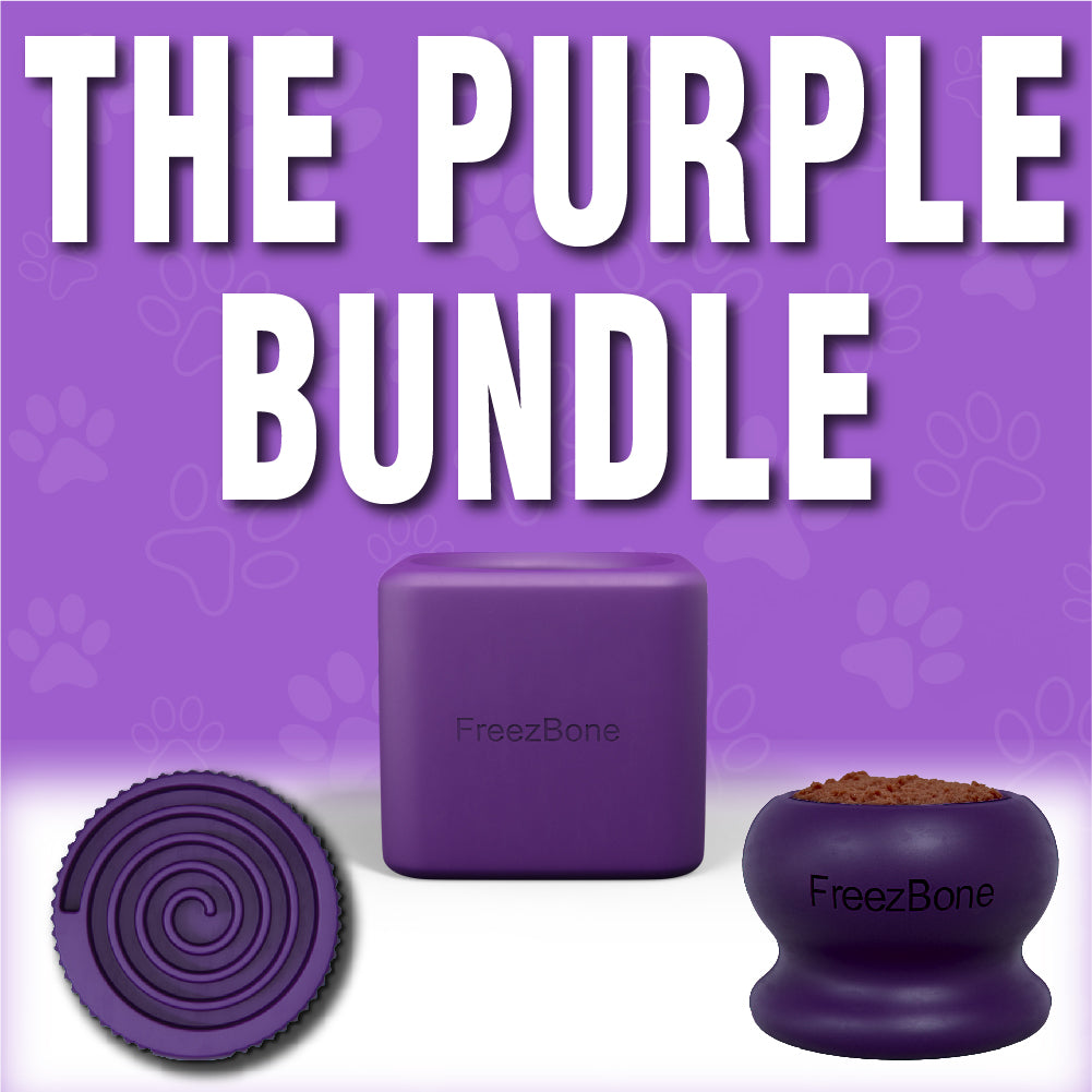 Purple Playtime Dog Trio Bundle