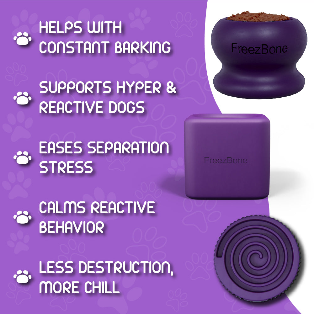 Purple Playtime Dog Trio Bundle