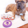 Freez Doughnut - Super Durable Treat Toy