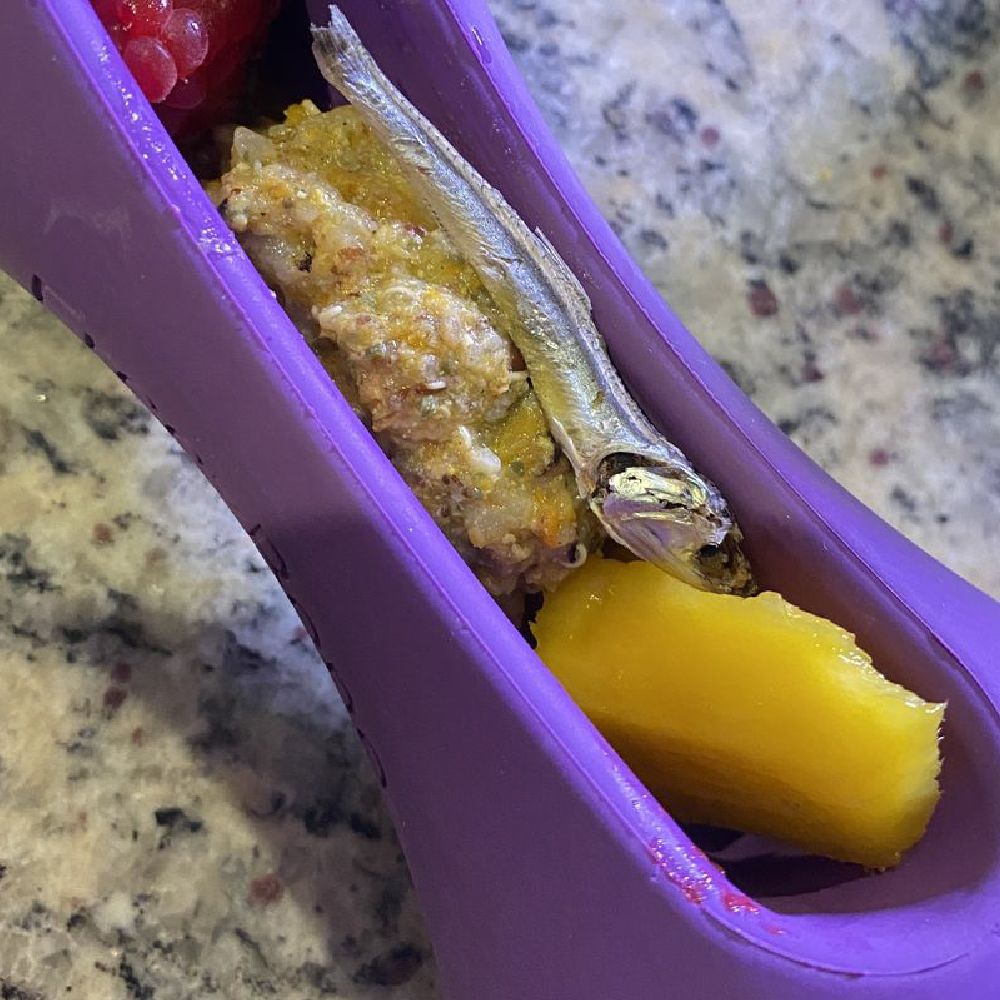 Freezstick Bundle 90 Gram Fillers