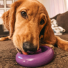 Freez Doughnut - Super Durable Treat Toy