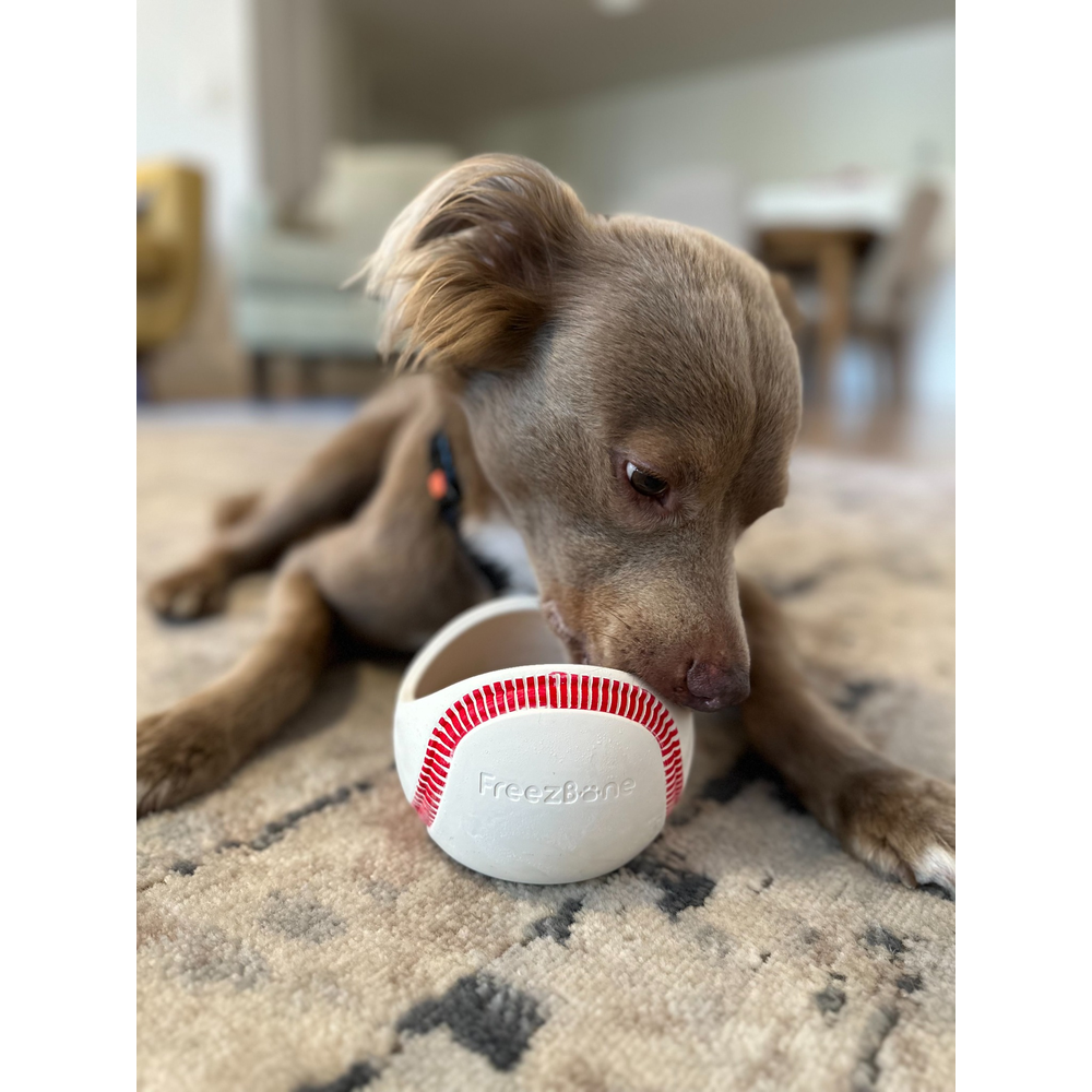 Freezbaseball-  Durable Frozen Baseball Chew Toy for Dogs