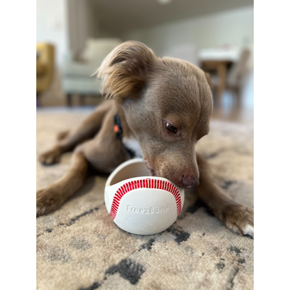 Freezbaseball-  Durable Frozen Baseball Chew Toy for Dogs