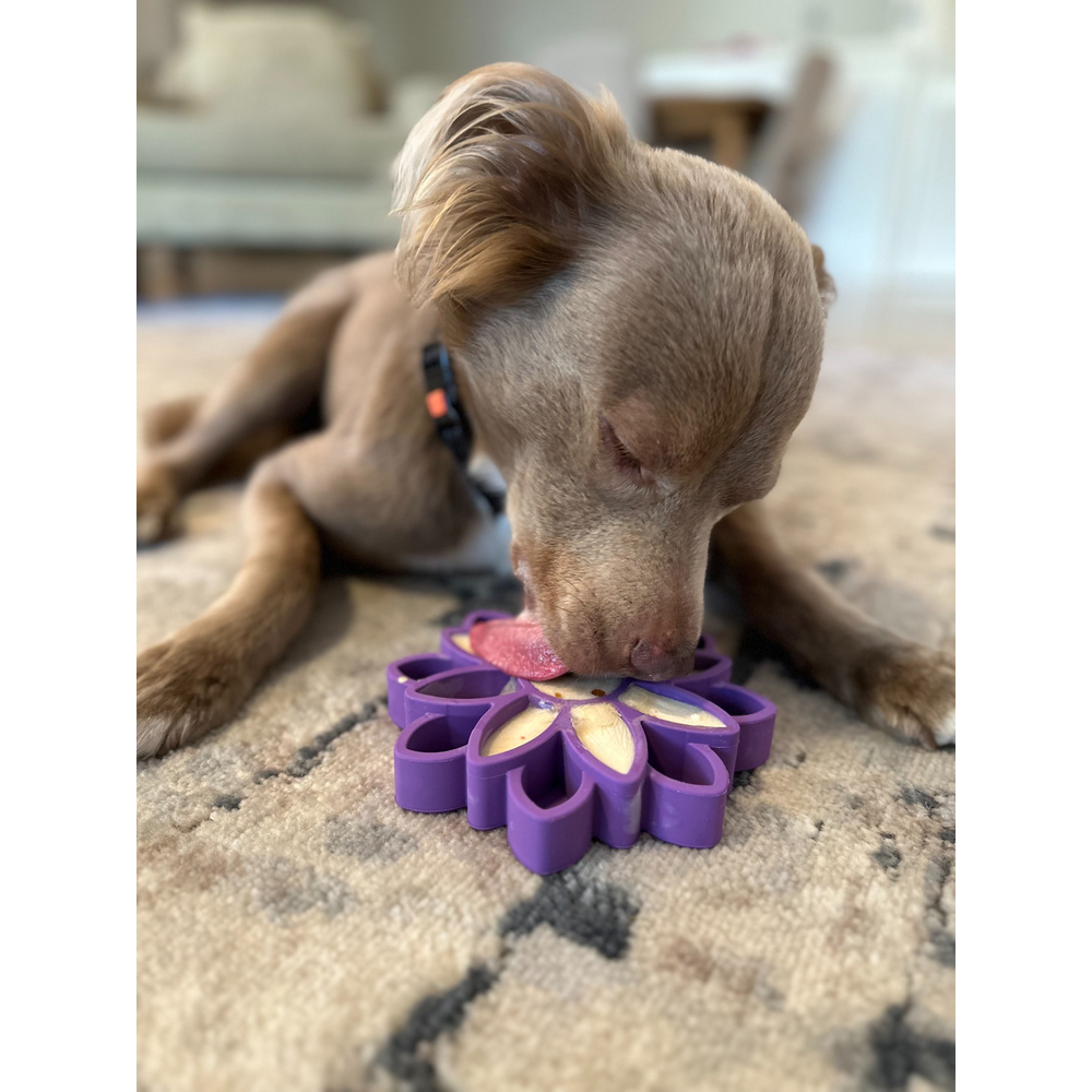 FreezSunflower - Interactive Frozen Sunflower Dog Chew