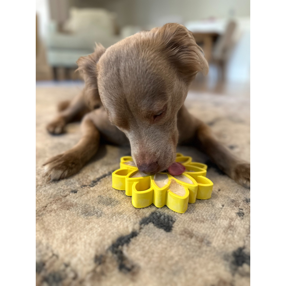 FreezSunflower - Interactive Frozen Sunflower Dog Chew