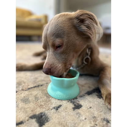 Freezflower Cup -  Frozen Treat Cup for Calm, Happy Dogs