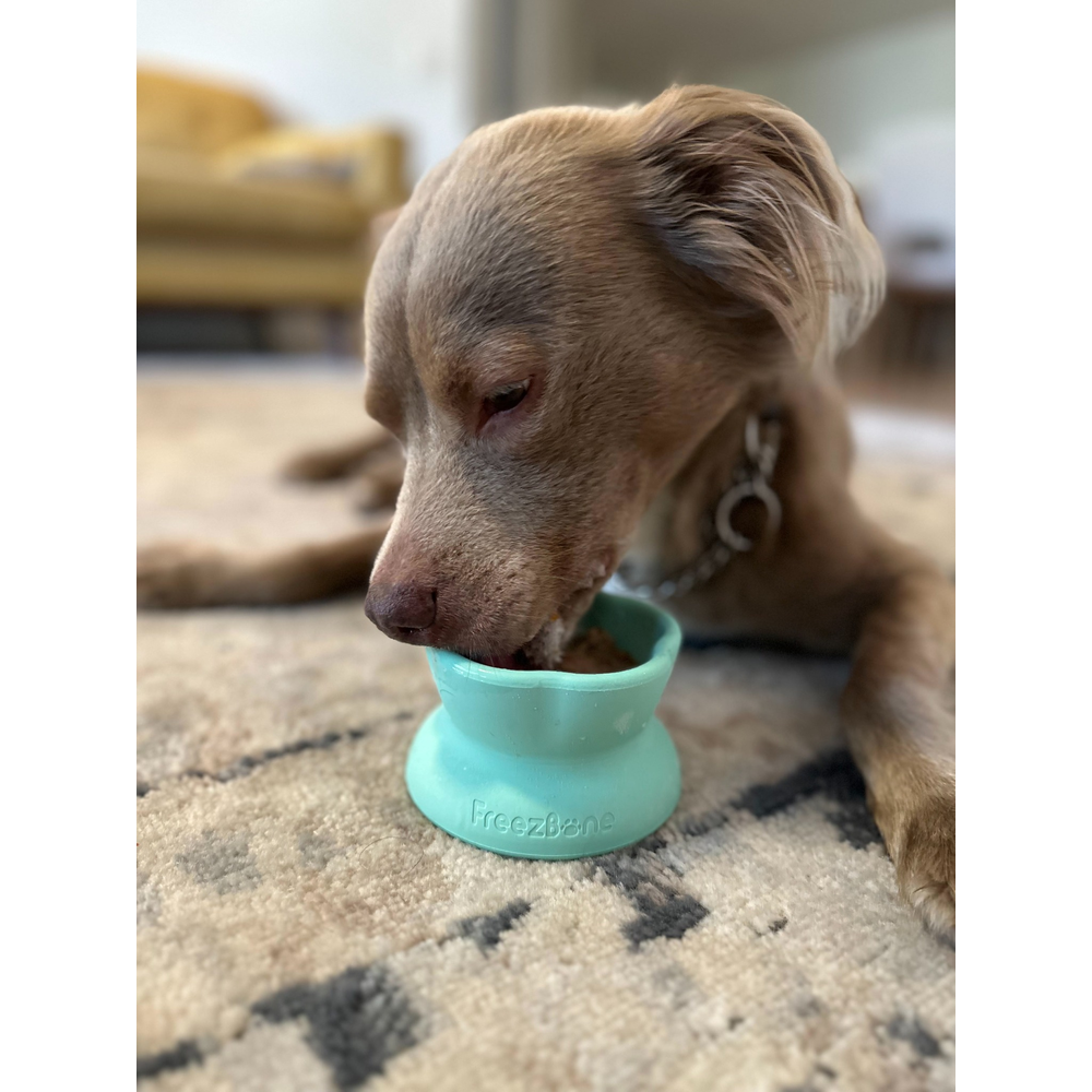 Freezflower Cup -  Frozen Treat Cup for Calm, Happy Dogs
