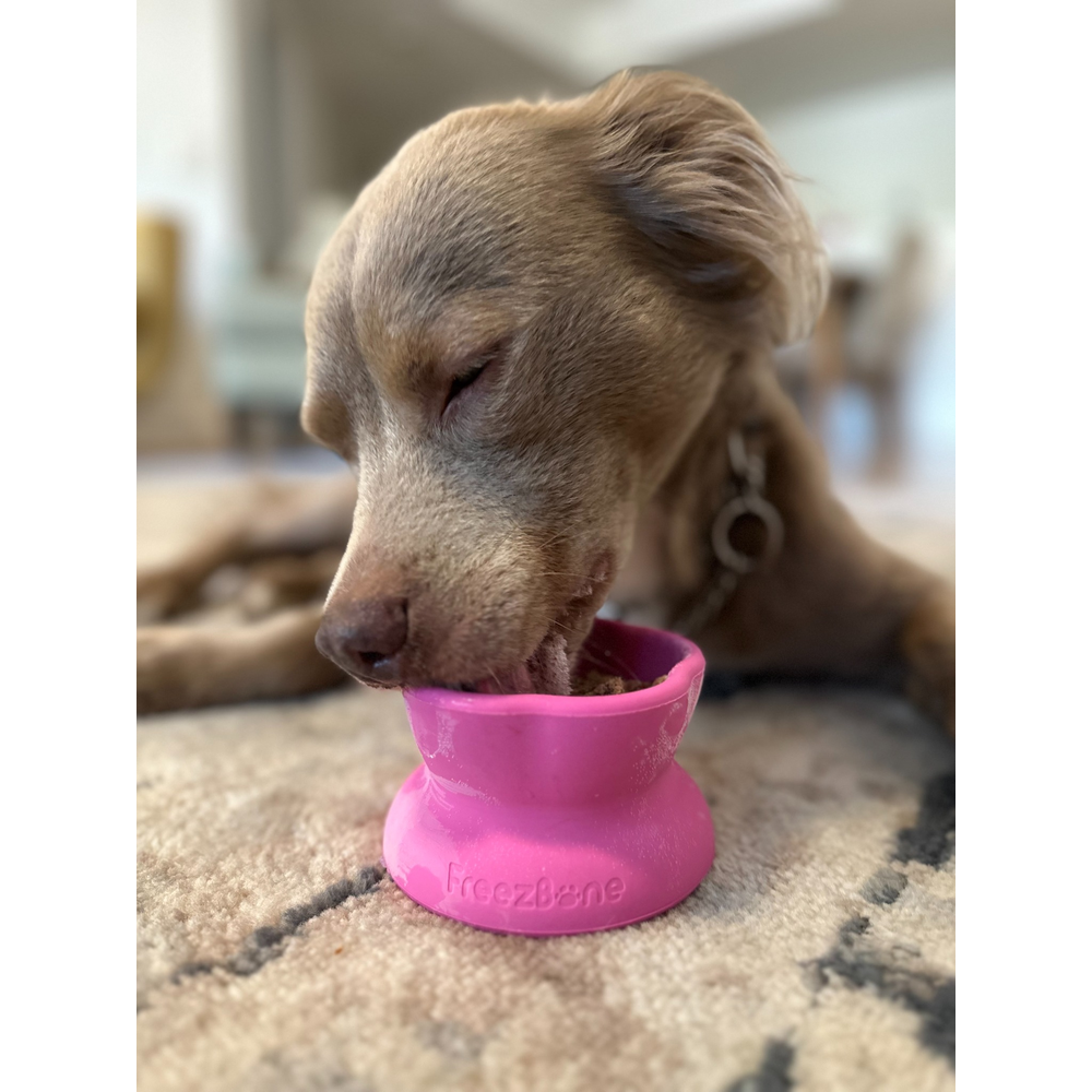 Freezflower Cup -  Frozen Treat Cup for Calm, Happy Dogs