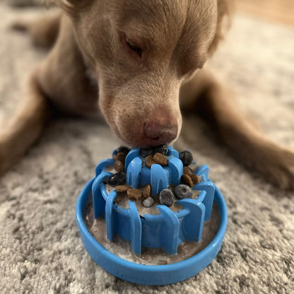 FreezLava Heavy-Duty Enrichment Chew