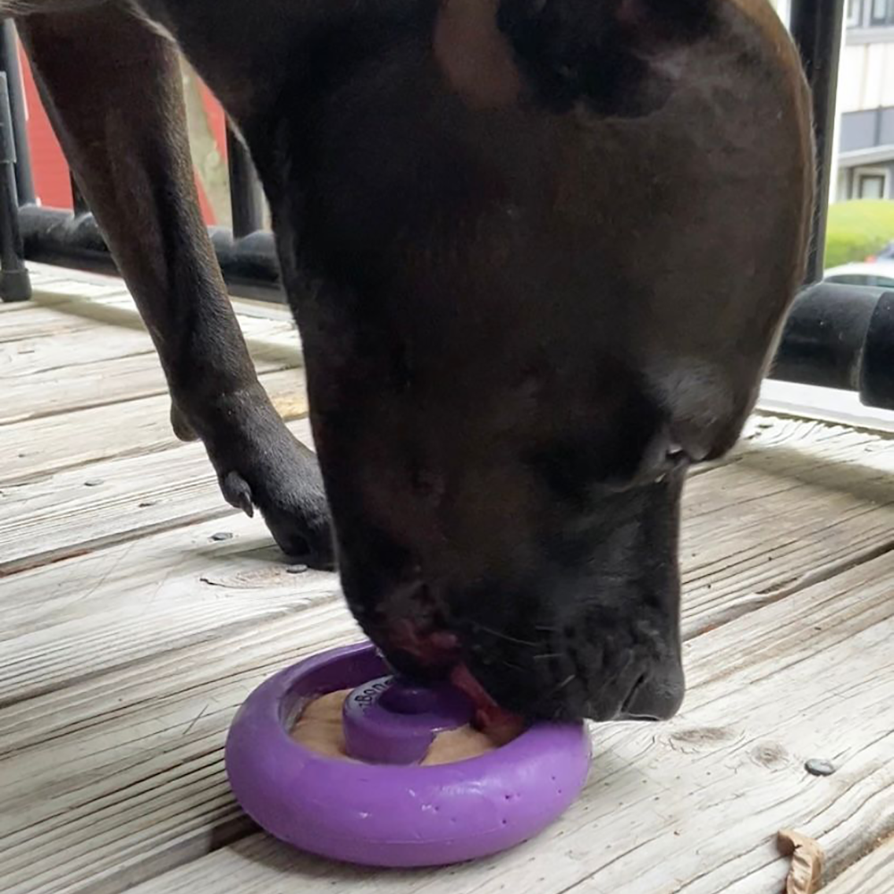 Freez Doughnut - Super Durable Treat Toy