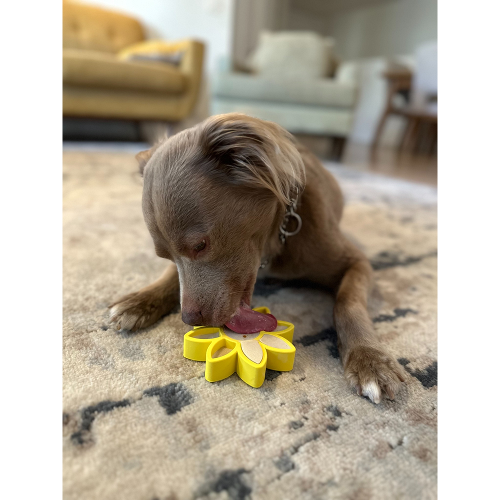 FreezFlower - Long-Lasting Frozen Flower Dog Treat Toy