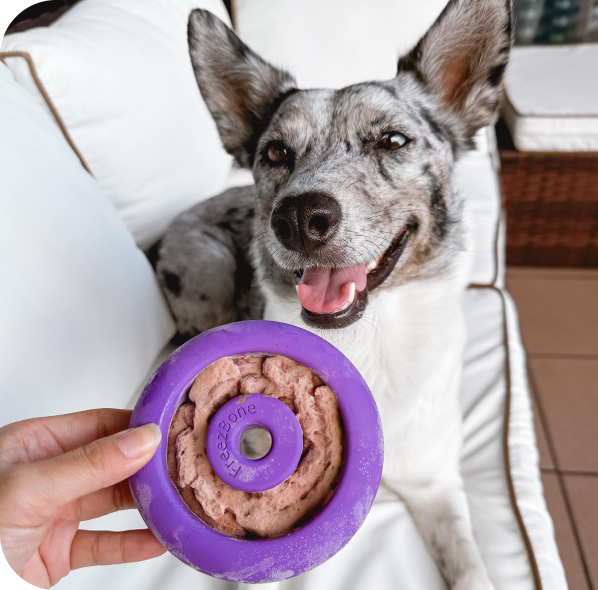 Freezbone About Us - Freezbone | Healthy Dog Treat Provider
