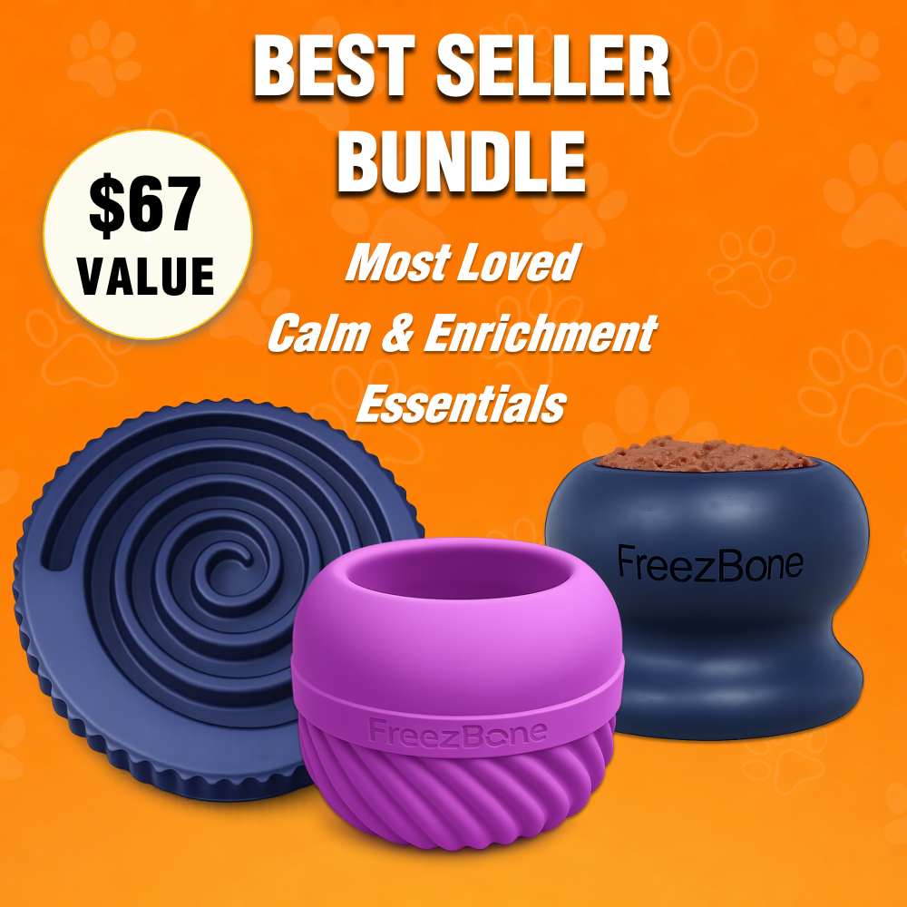 Best Seller Bundle