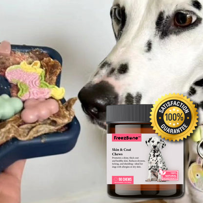 Boost Bundle: 4 Superpower Vitamins