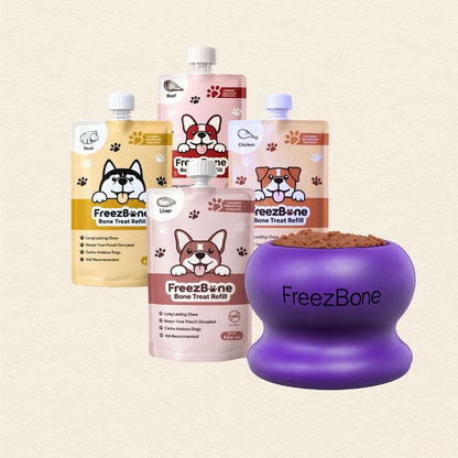 Freezball Refill Bundle - Starter favorite best selling combo