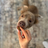 Allergy &amp; Immune Chews (90 Chews)