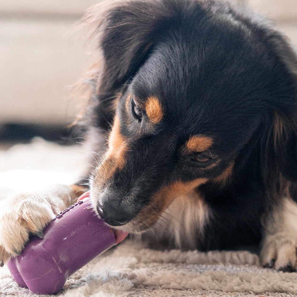 Freezbone Bundle 90 Grams Fillers