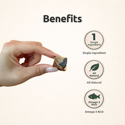 AUCTION ONLY - Freezbone Salmon Skin Cubes Dog Treats