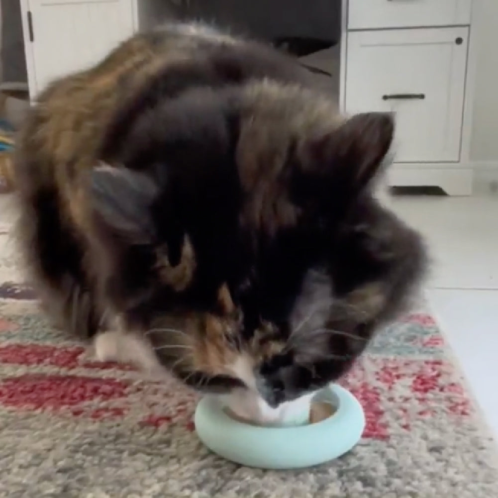 Freezring Cat Zen Relief Toy