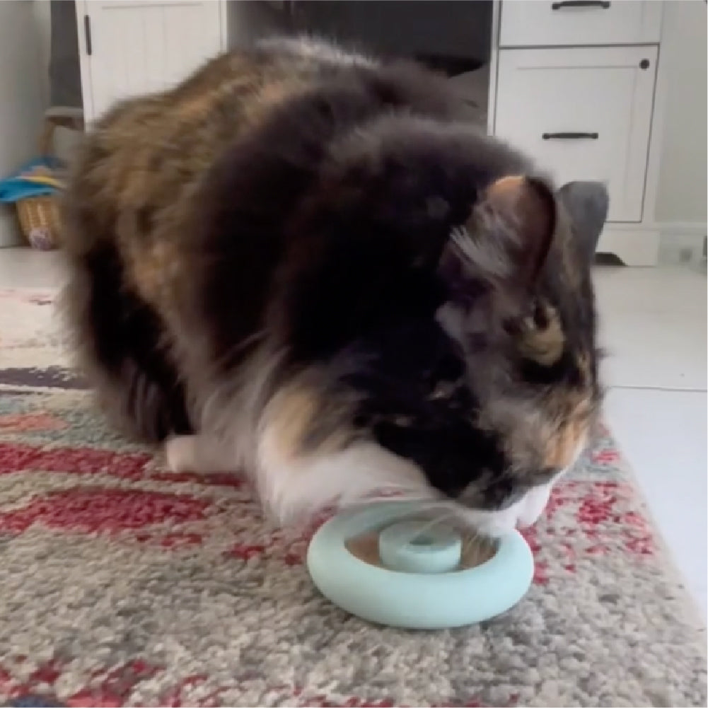 Freezring Cat Zen Relief Toy