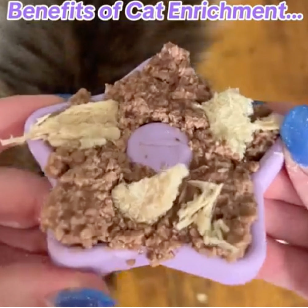 FreezTwinkle Cat Spark Play Toy