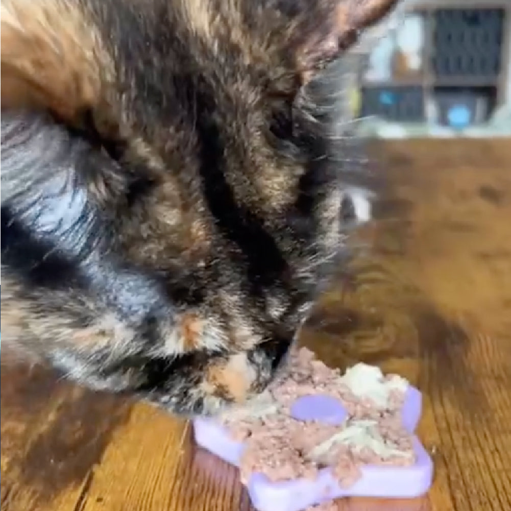 FreezTwinkle Cat Spark Play Toy