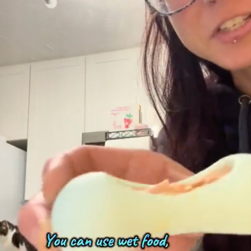 FreezWhisk Cat Calm Feed Bowl