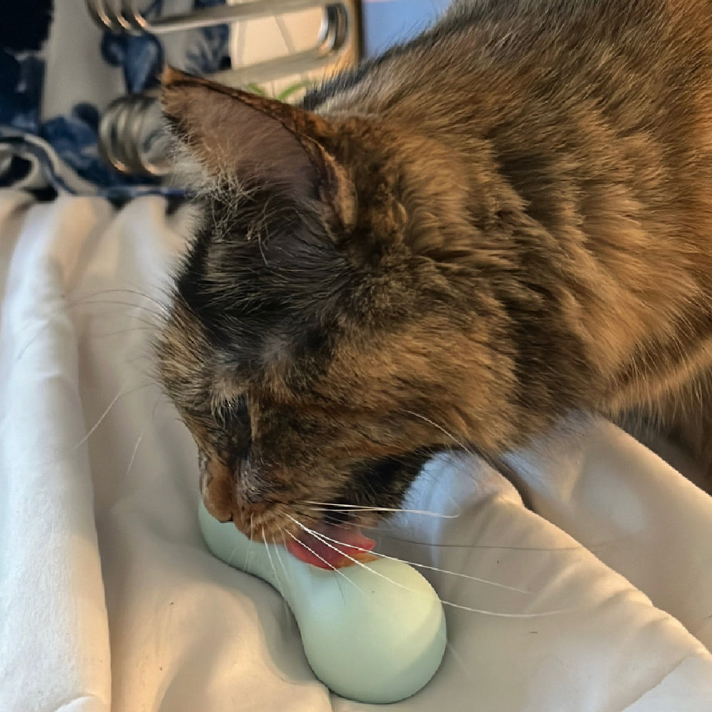 FreezWhisk Cat Calm Feed Bowl