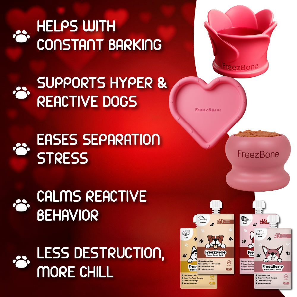Valentines Ultimate Pup Love Bundle – Limited Edition