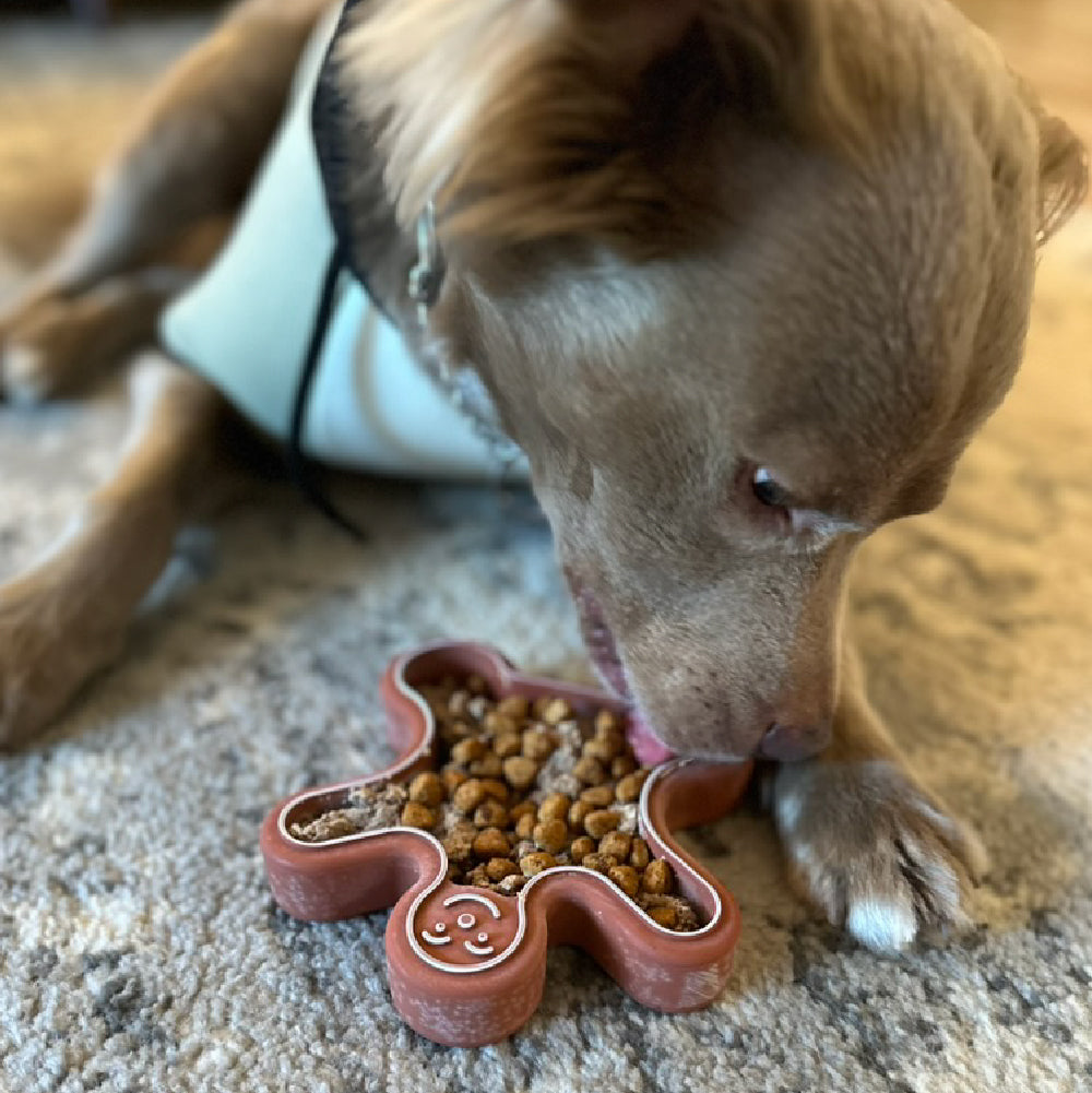 FreezGingerbread - Enrichment Chew Toy