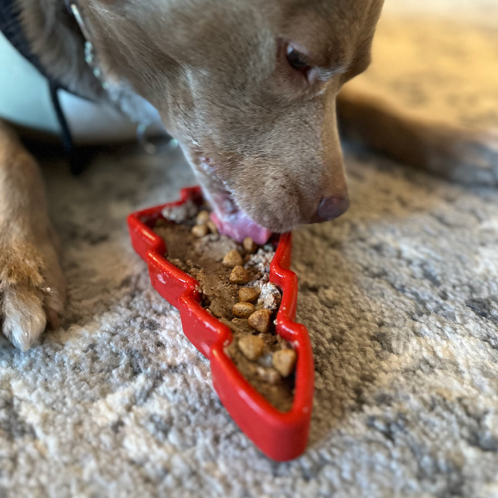 Freezbone Fun Shapes Dog Bundle